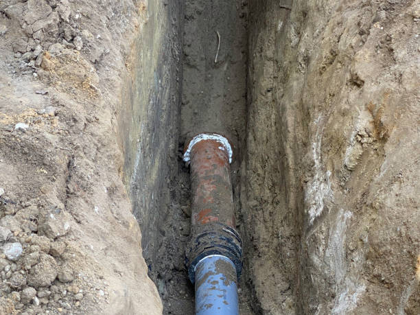 Best Flood restoration services  in Wilsonville, OR
