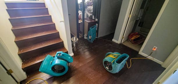 Best Water damage restoration specialists  in Wilsonville, OR