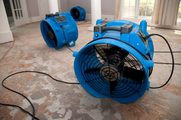 Professional Water damage restoration in Wilsonville, OR