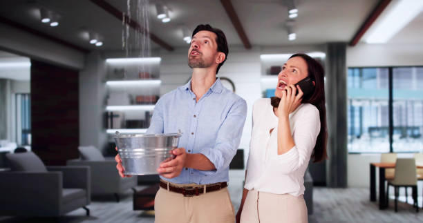 Best Flood damage cleanup  in Wilsonville, OR