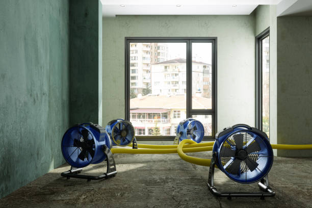Best Emergency water damage restoration  in Wilsonville, OR