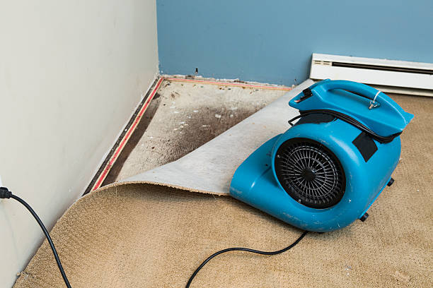 Best Basement water damage restoration  in Wilsonville, OR